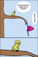 /album/tubo-rojo-2/a2-jpg1/